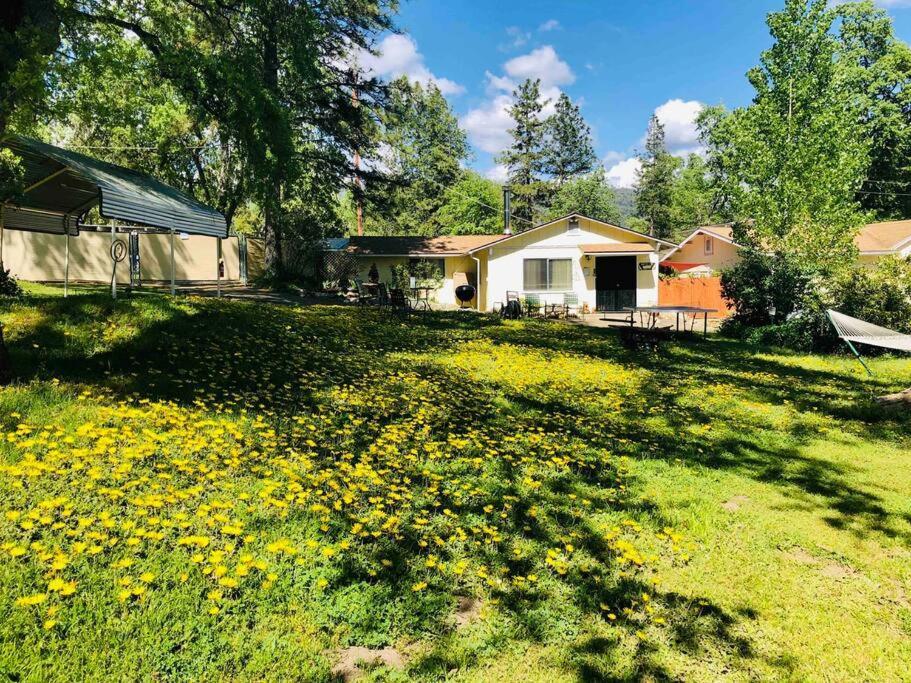 Sierra Sunset Cottage -Yosemite Area Vacation Cottage Авани Экстерьер фото